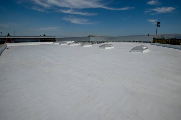 Best Roof Ventilation Installation  in Forrest, IL