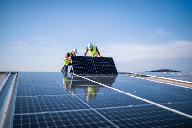 Best Roof Repair  in Forrest, IL