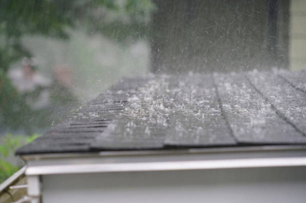 Trusted Forrest, IL Roofing Service Experts