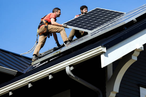 Best Skylight Installation and Repair  in Forrest, IL