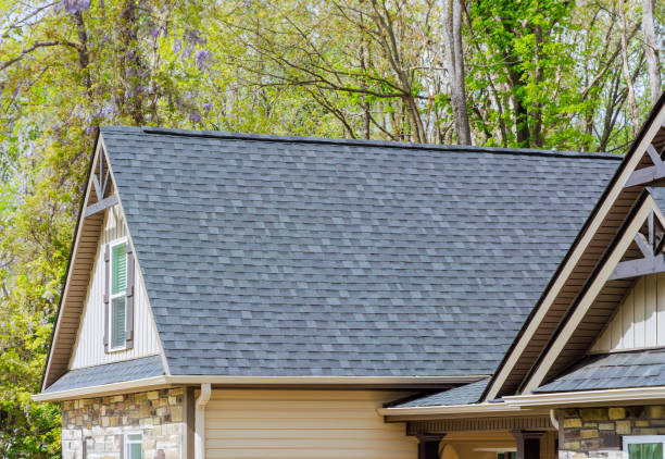 Best Chimney Flashing Repair  in Forrest, IL