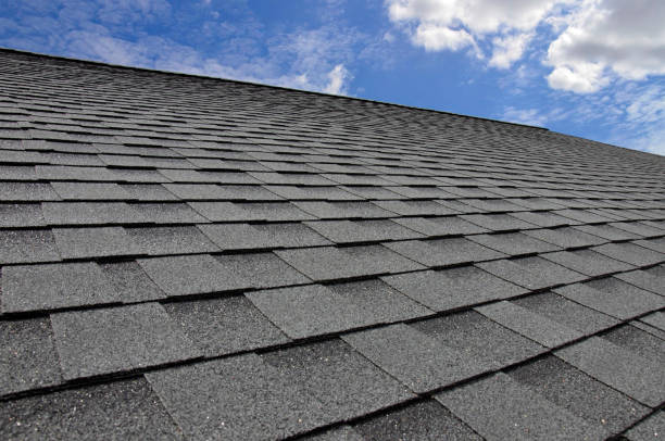 Best Hot Roofs  in Forrest, IL